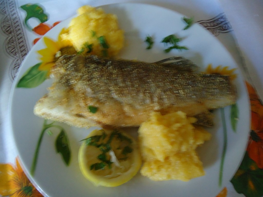 Biban de mare prajit