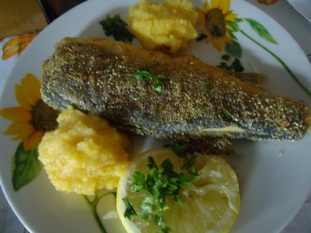 Biban de mare prajit