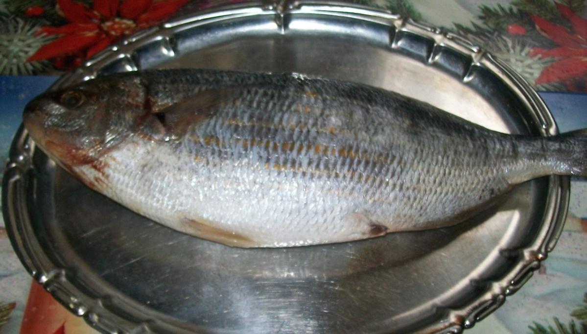 Dorada umpluta pe pat de legume