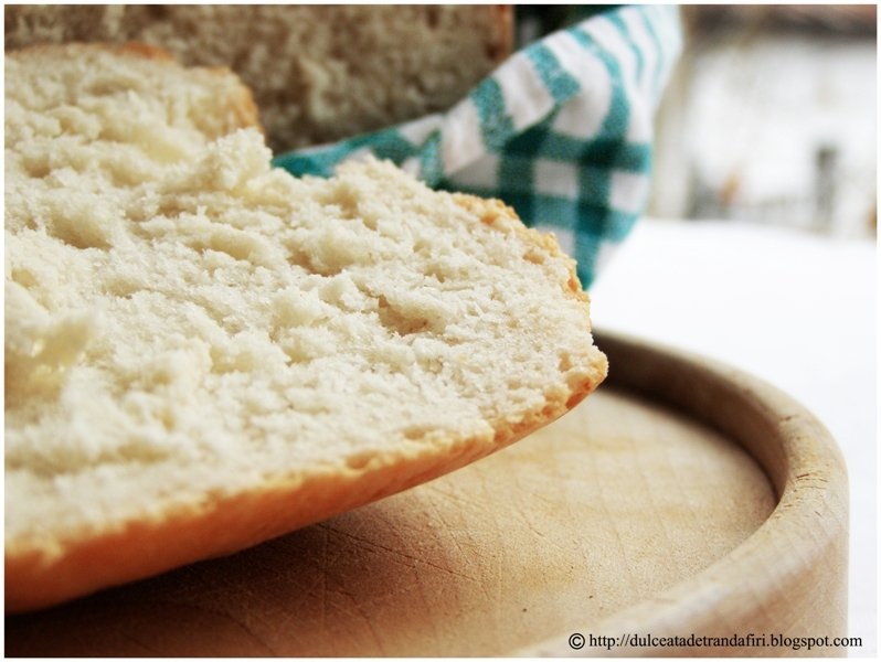 Paine traditionala rapida