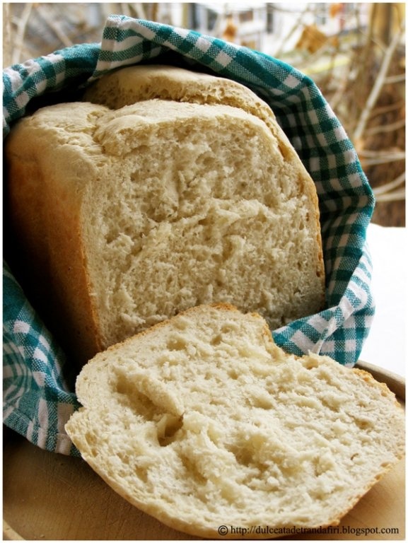 Paine traditionala rapida