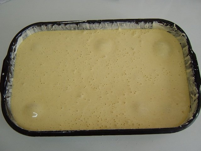 Prajitura cu nectarine