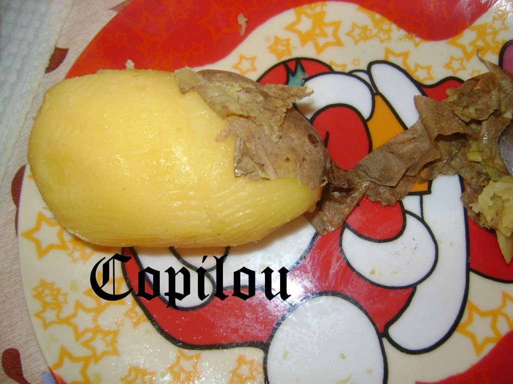 Cartofi cu branza si smantana