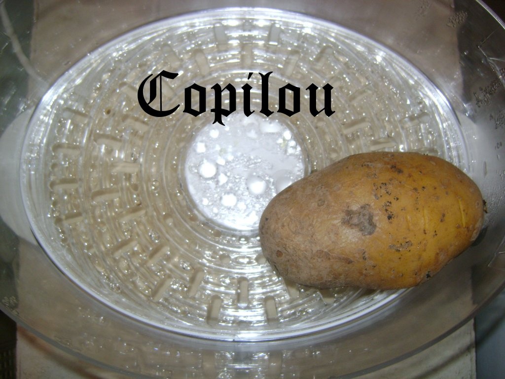 Cartofi cu branza si smantana