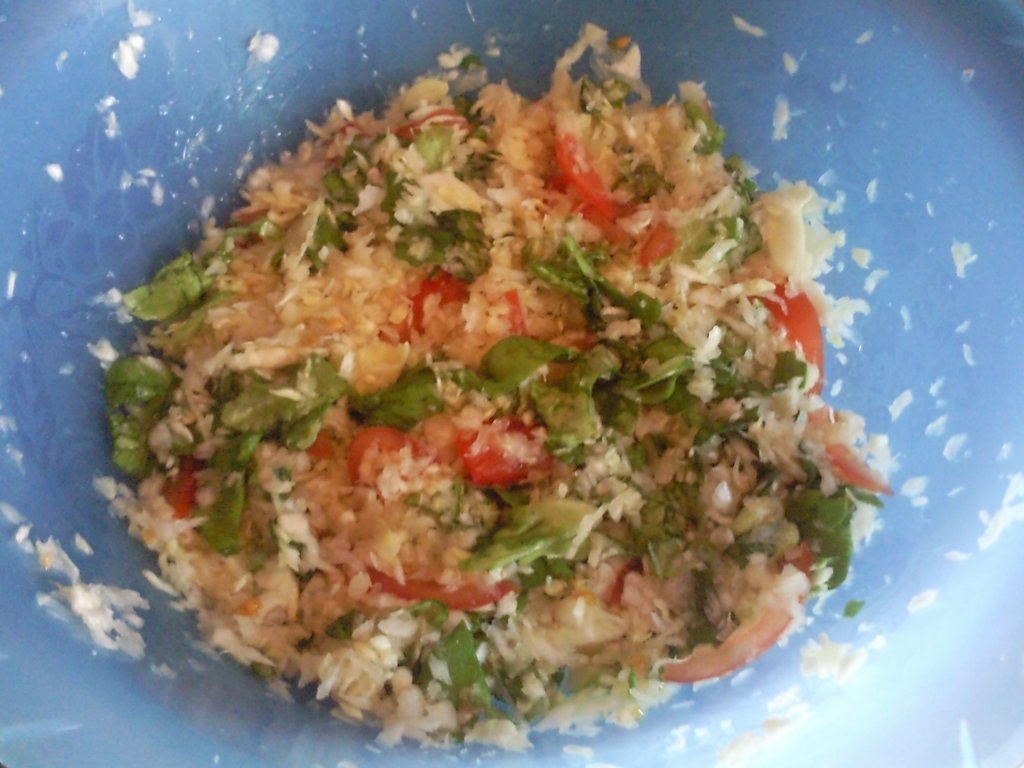 Shaorma dietetica de pui