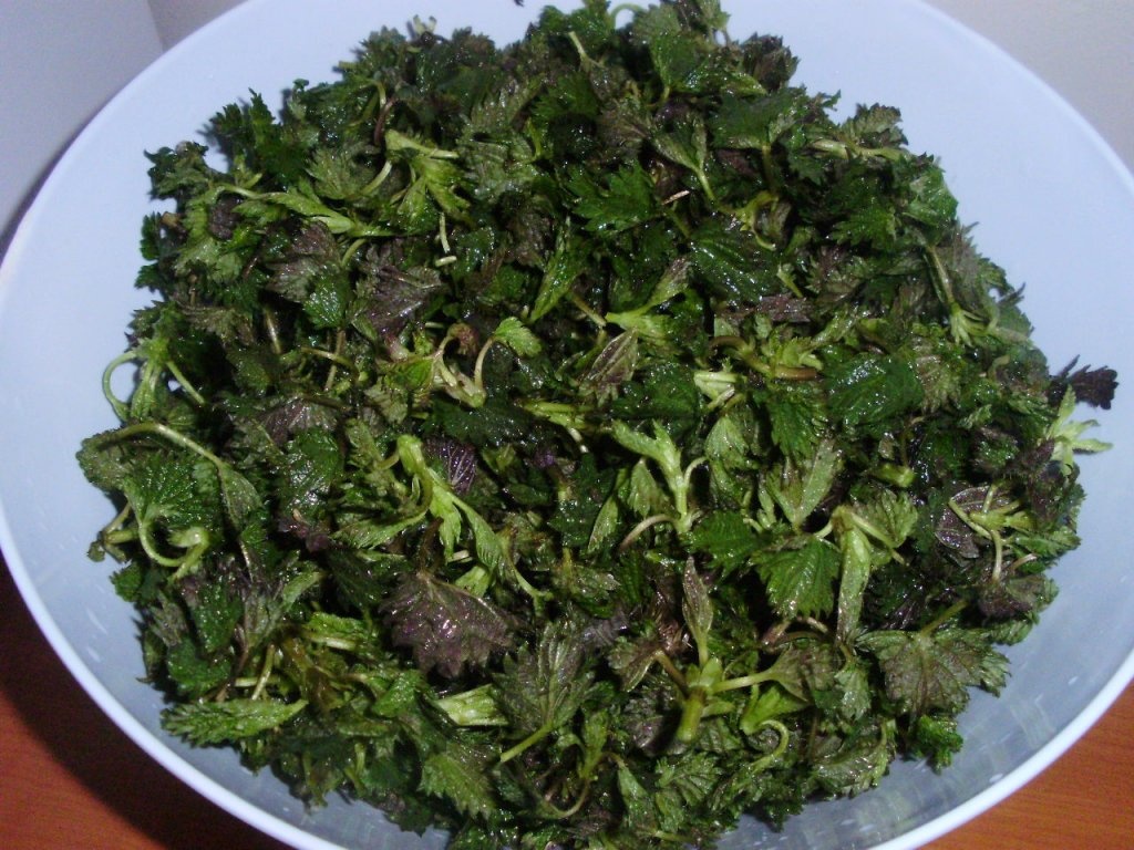 Mancare de urzici ( ca la mama acasa)