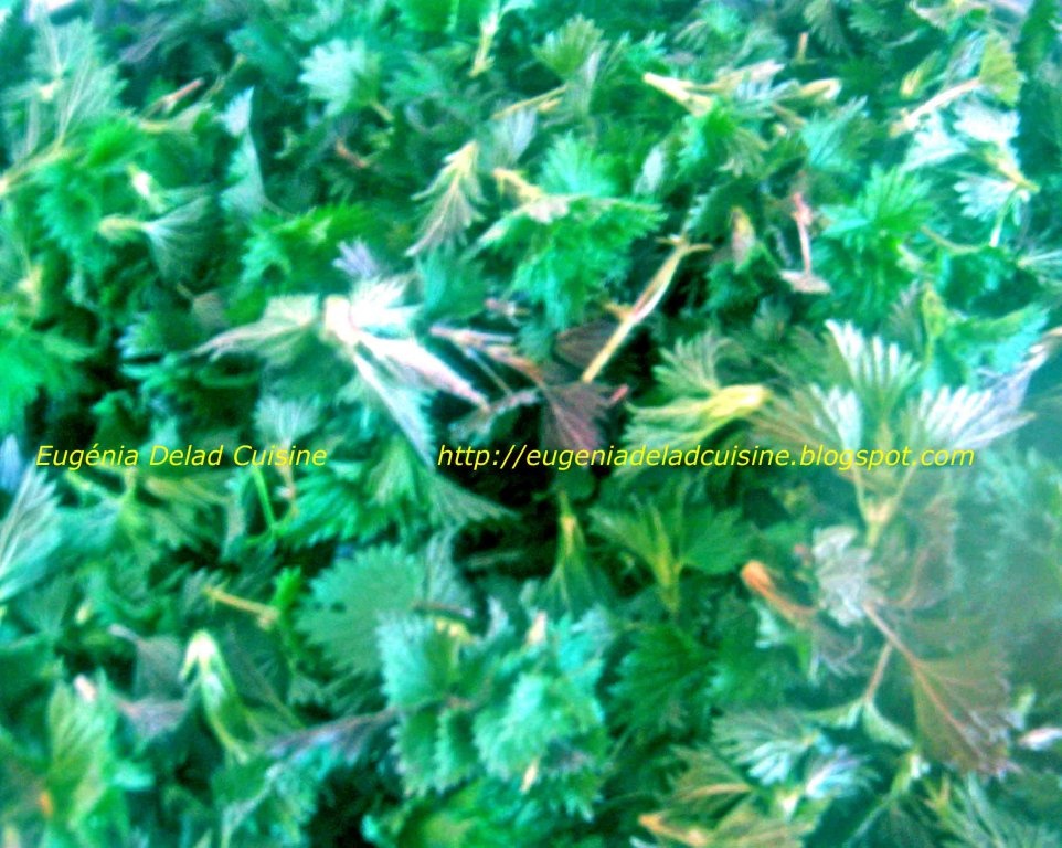 Supa - crema de urzici