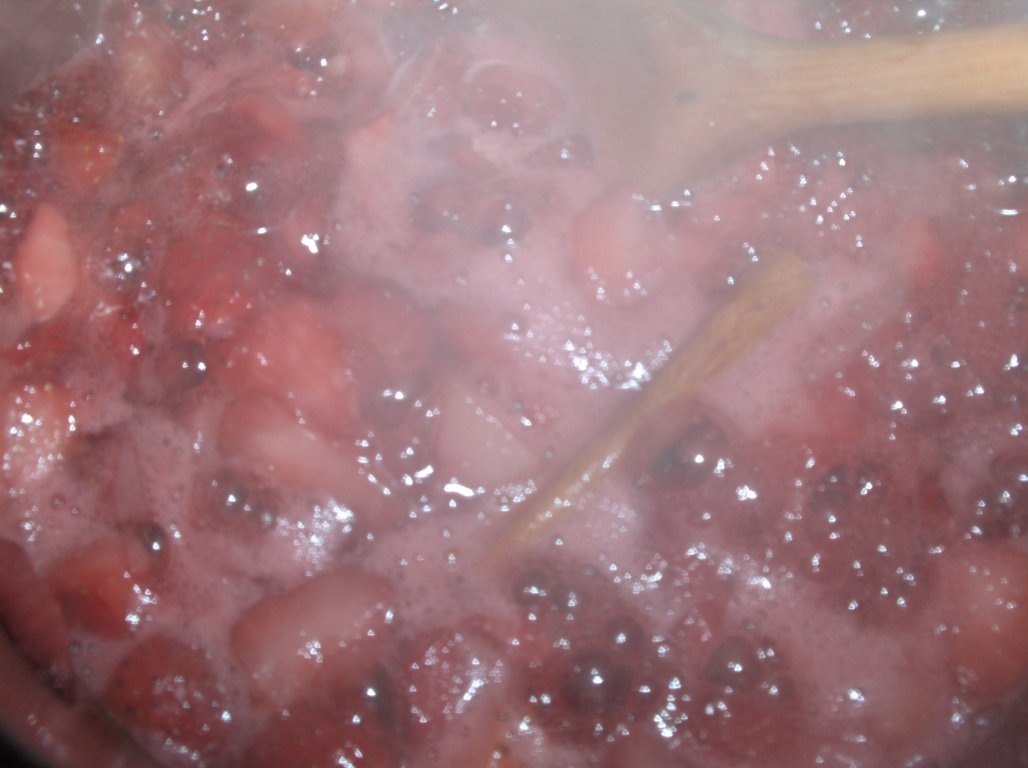 Delicias de cãpsuni