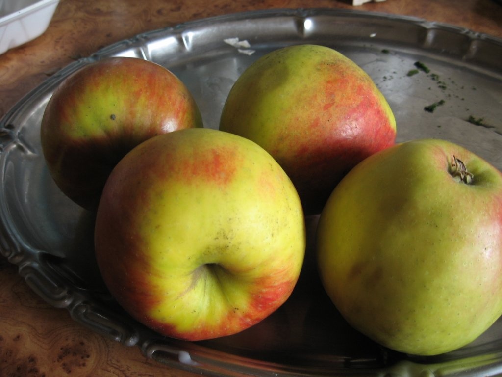 Budinca de orez cu mere