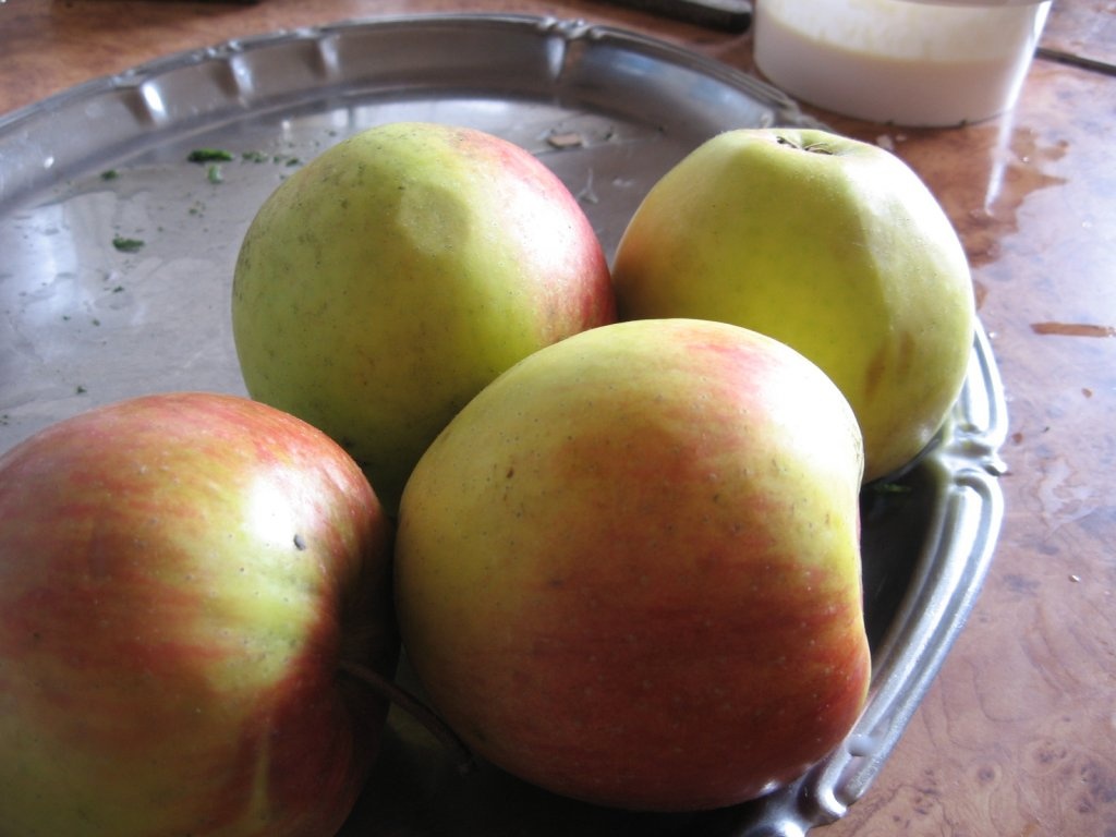 Budinca de orez cu mere