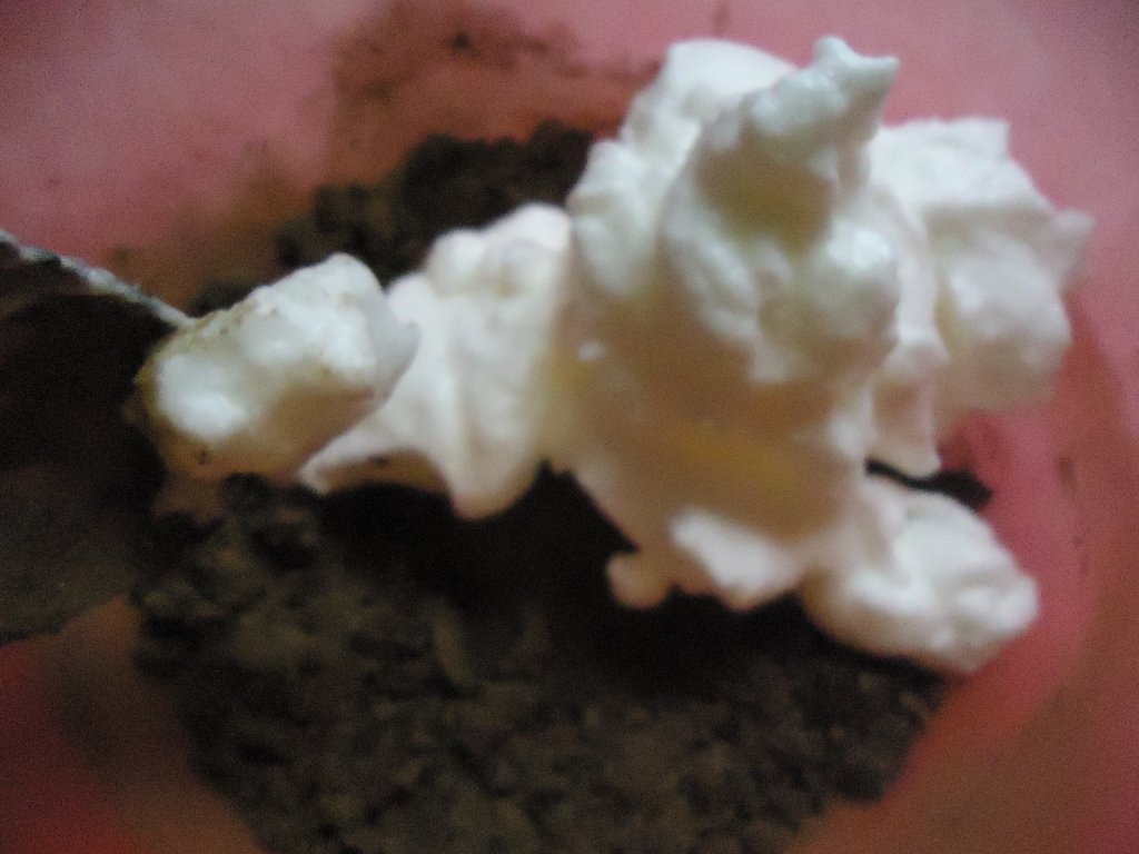 Inghetata in 3 culori