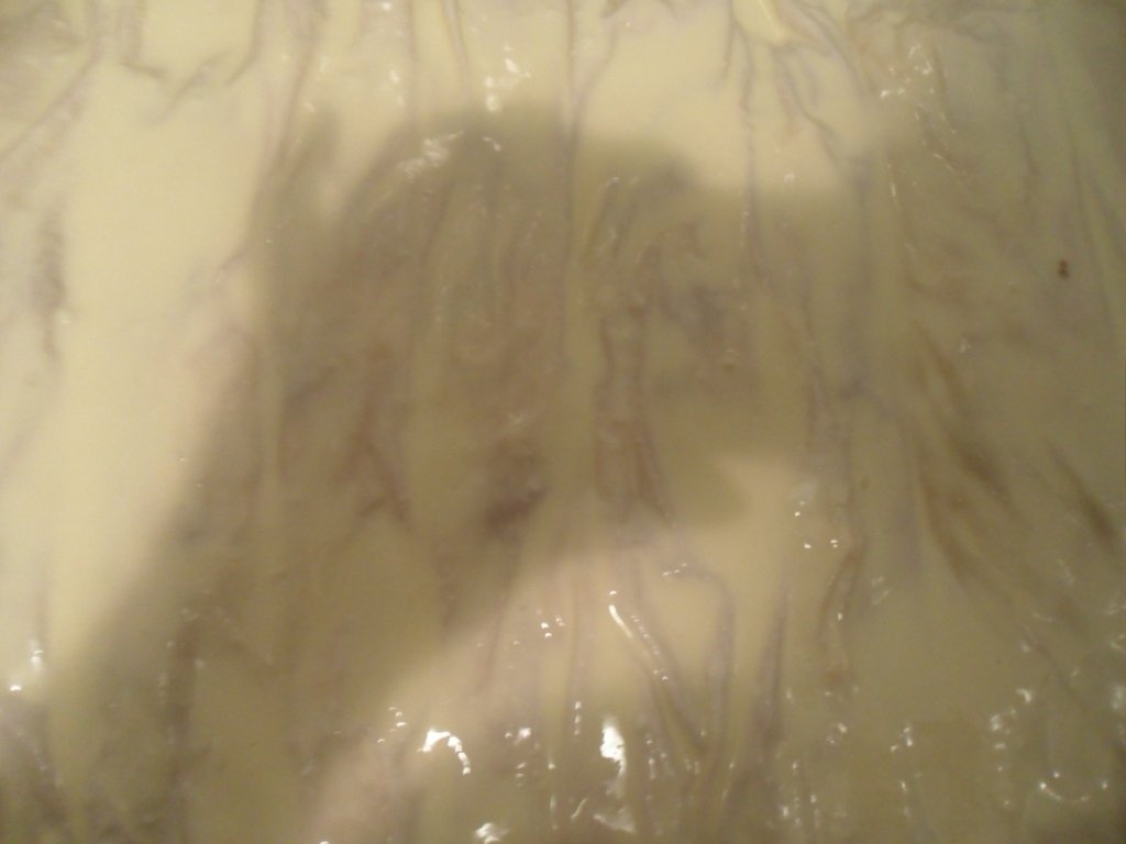 Placinta cu branza dulce si nuci