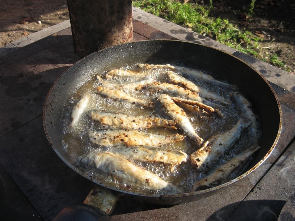 Sardina prajita, cu mamaliga si mujdei