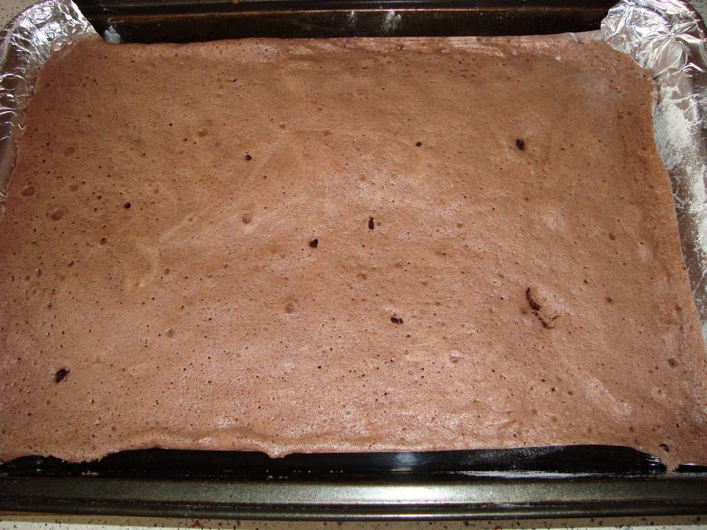 Prajitura pufoasa cu budinca