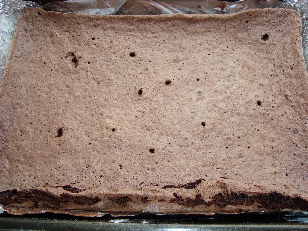 Prajitura pufoasa cu budinca