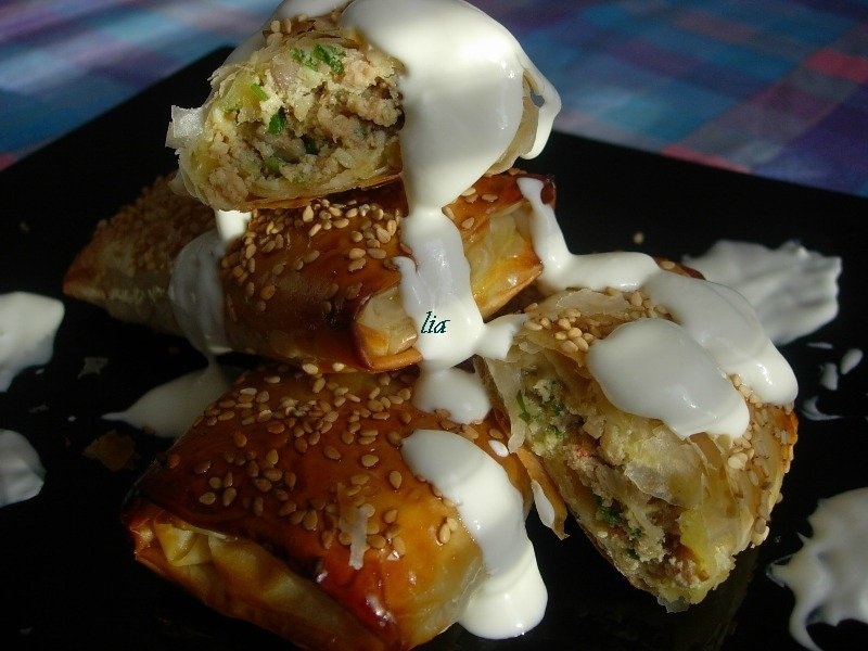 Portofele cu ciuperci si carne