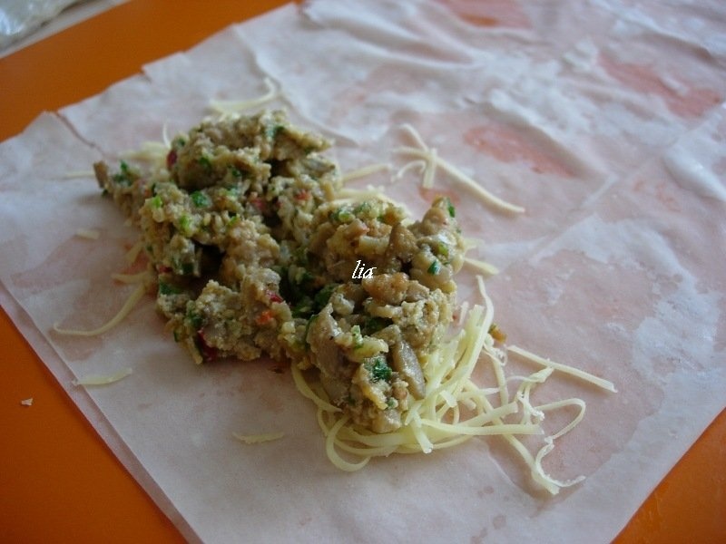 Portofele cu ciuperci si carne