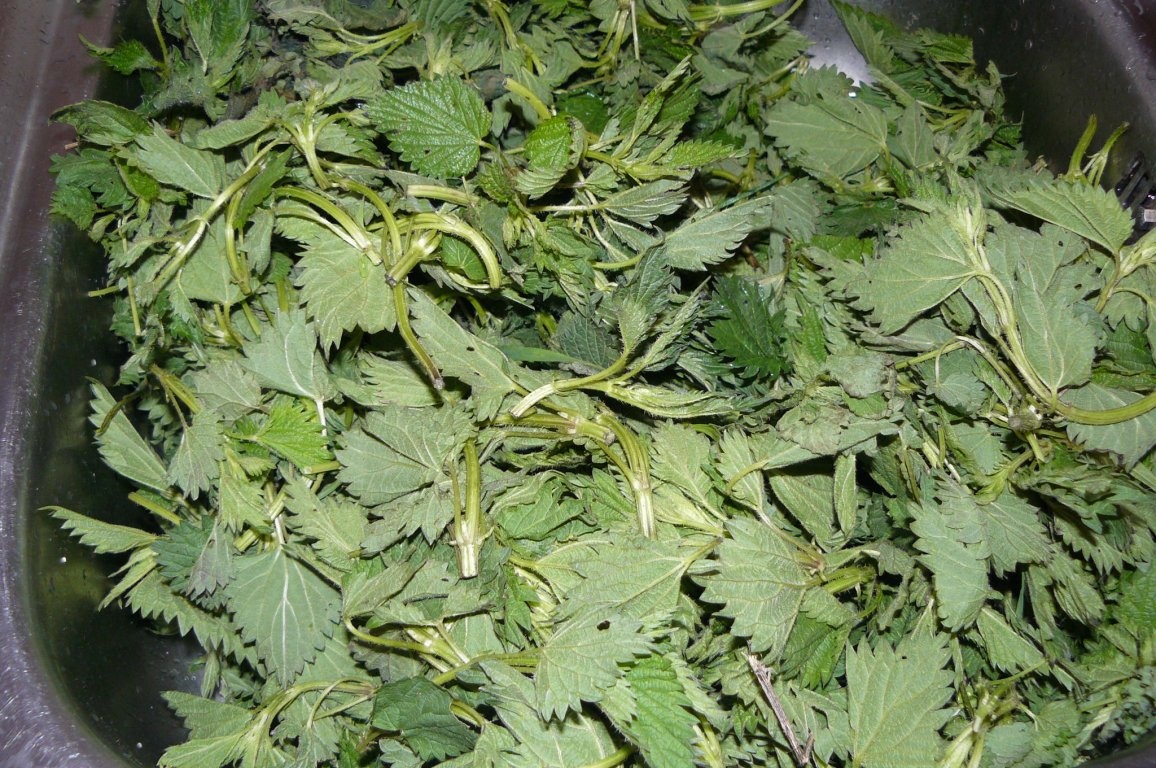 Ciorbă de urzici cu pretenţii aristocrate de velouté