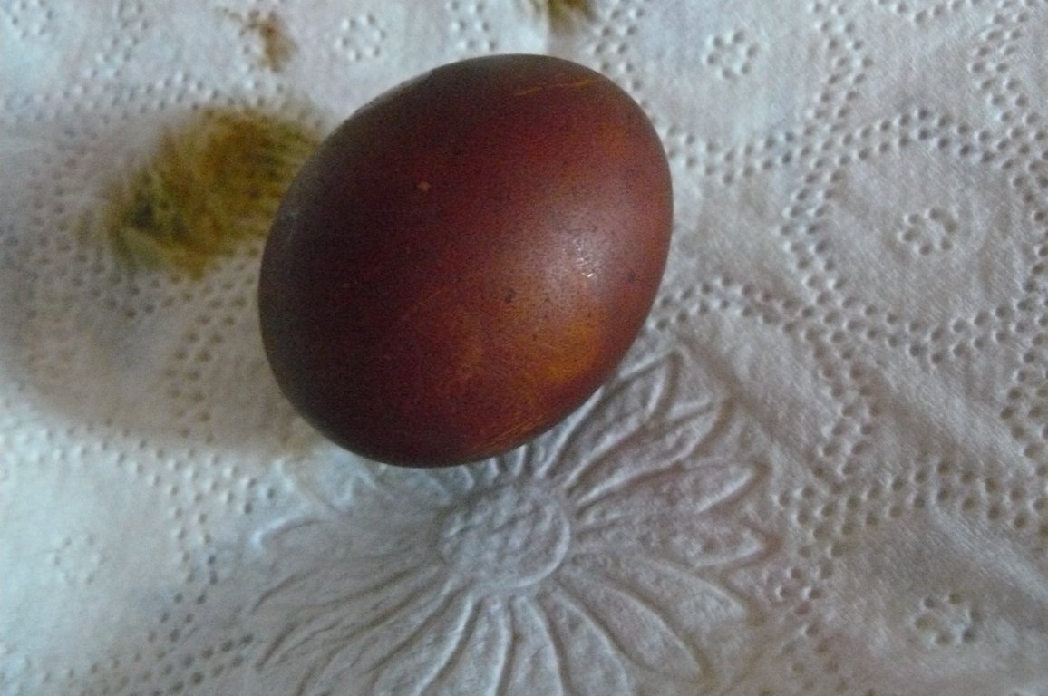 Ouă vopsite cu coji de ceapă