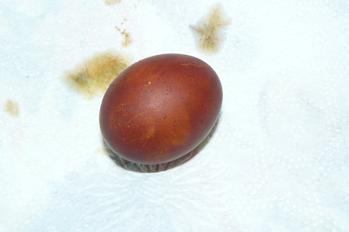 Ouă vopsite cu coji de ceapă