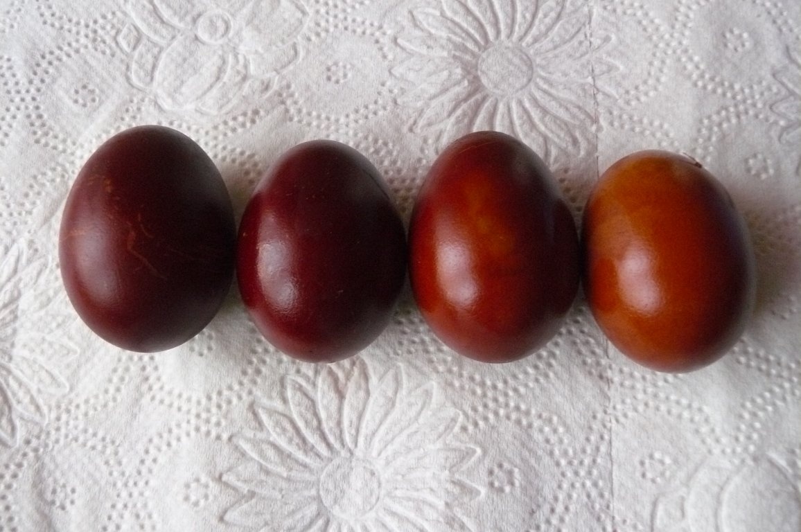 Ouă vopsite cu coji de ceapă