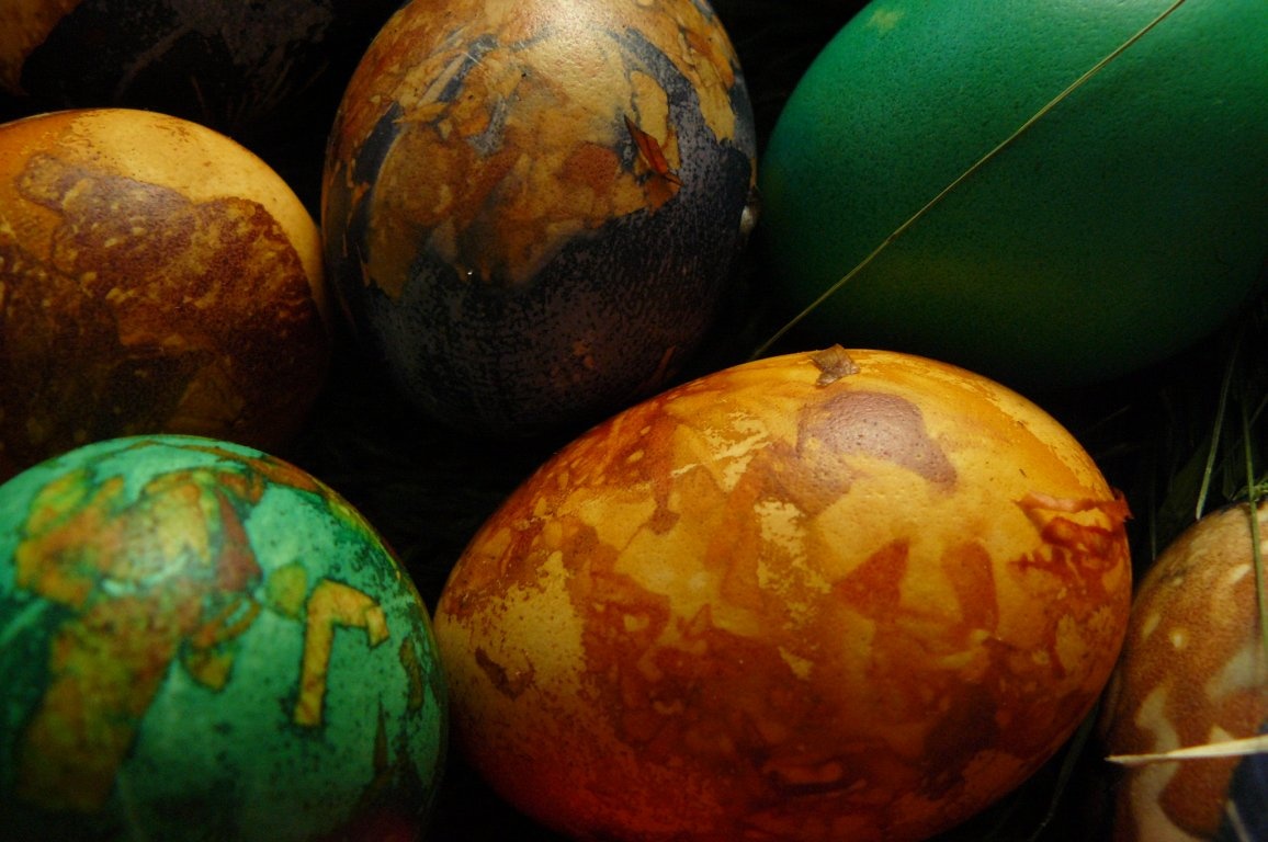 Ouă vopsite cu coji de ceapă