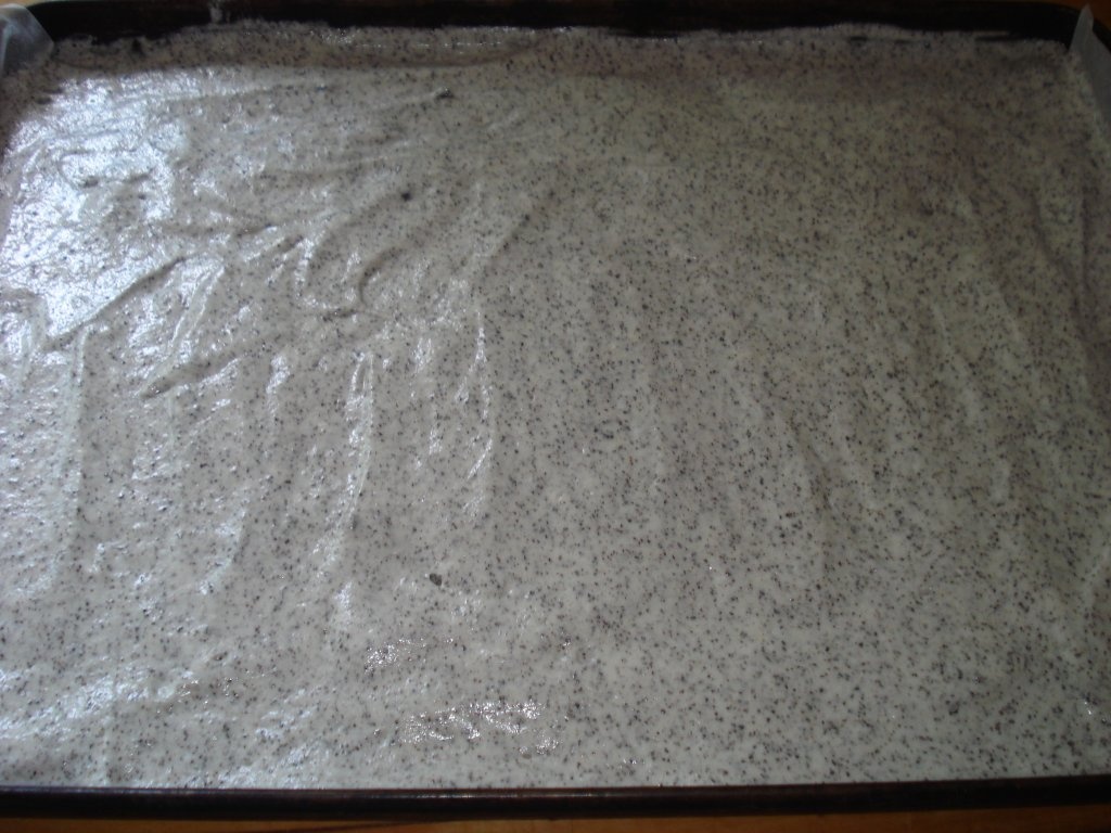 Prajitura  "Furnica"