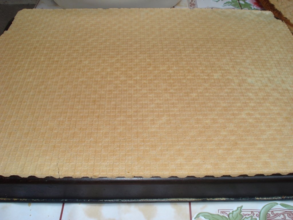 Prajitura  "Furnica"