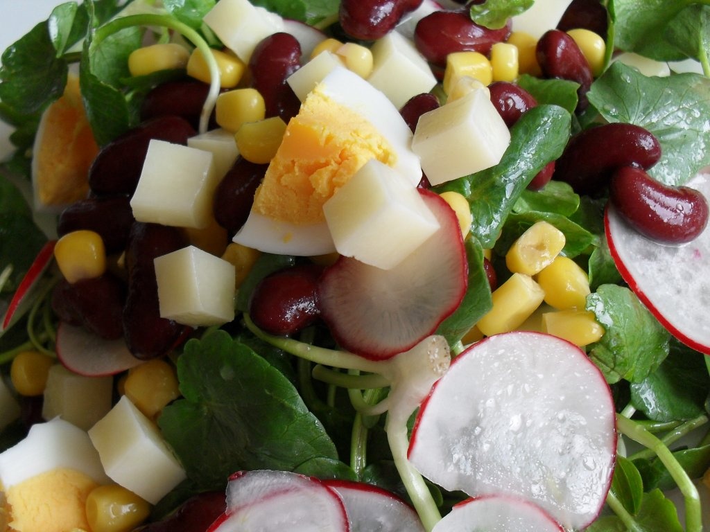 Salata de padure (untisor) cu fasole, porumb, ou si ridiche