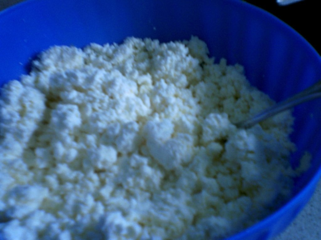 Placinta de brinza de vaci