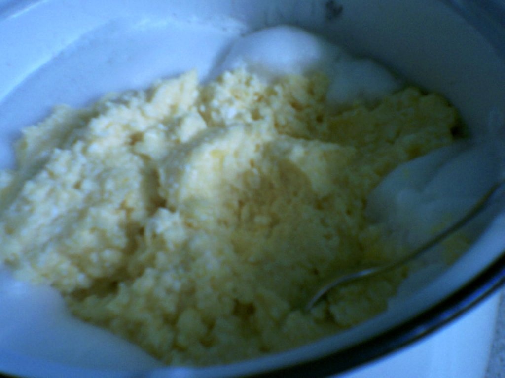 Placinta de brinza de vaci