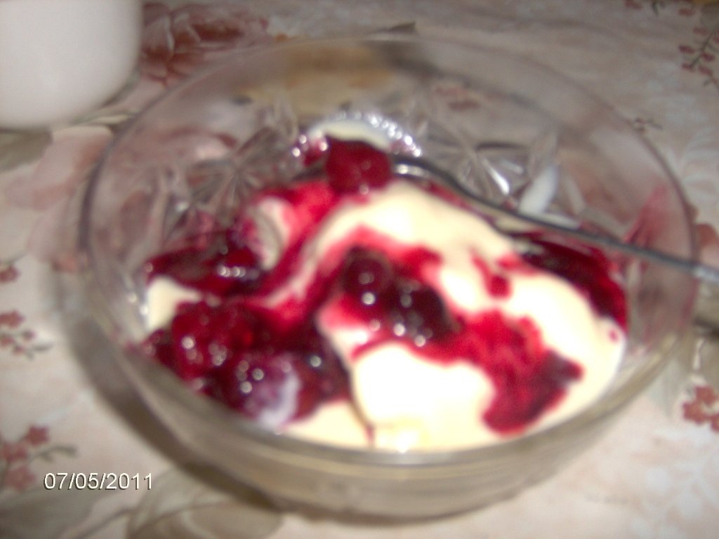 Inghetata de vanilie