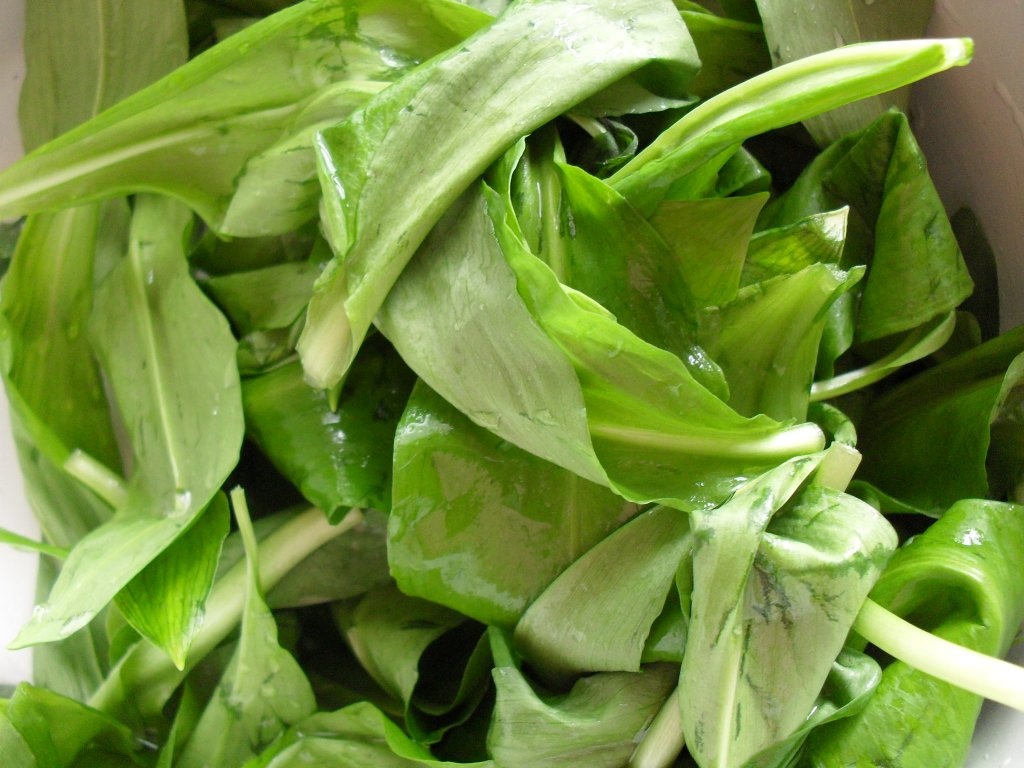 Salata de leurda cu fasole rosie si porumb