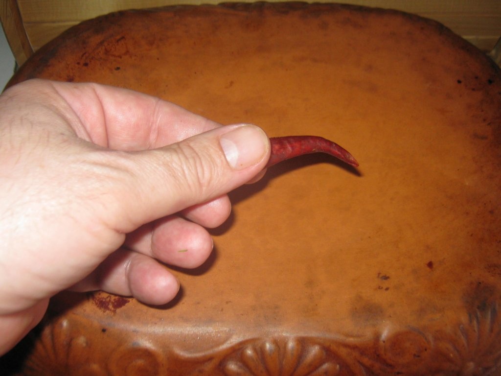 Ciolan afumat pe pat de legume