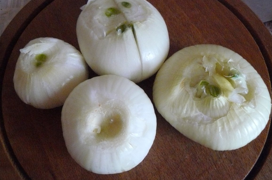 Carne de porc sau de vită cu morcovi şi bere