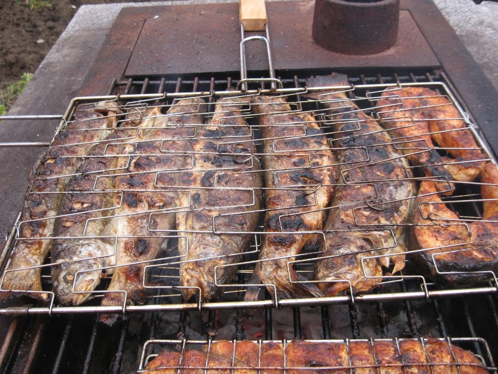 Somon si pastrav la gratar