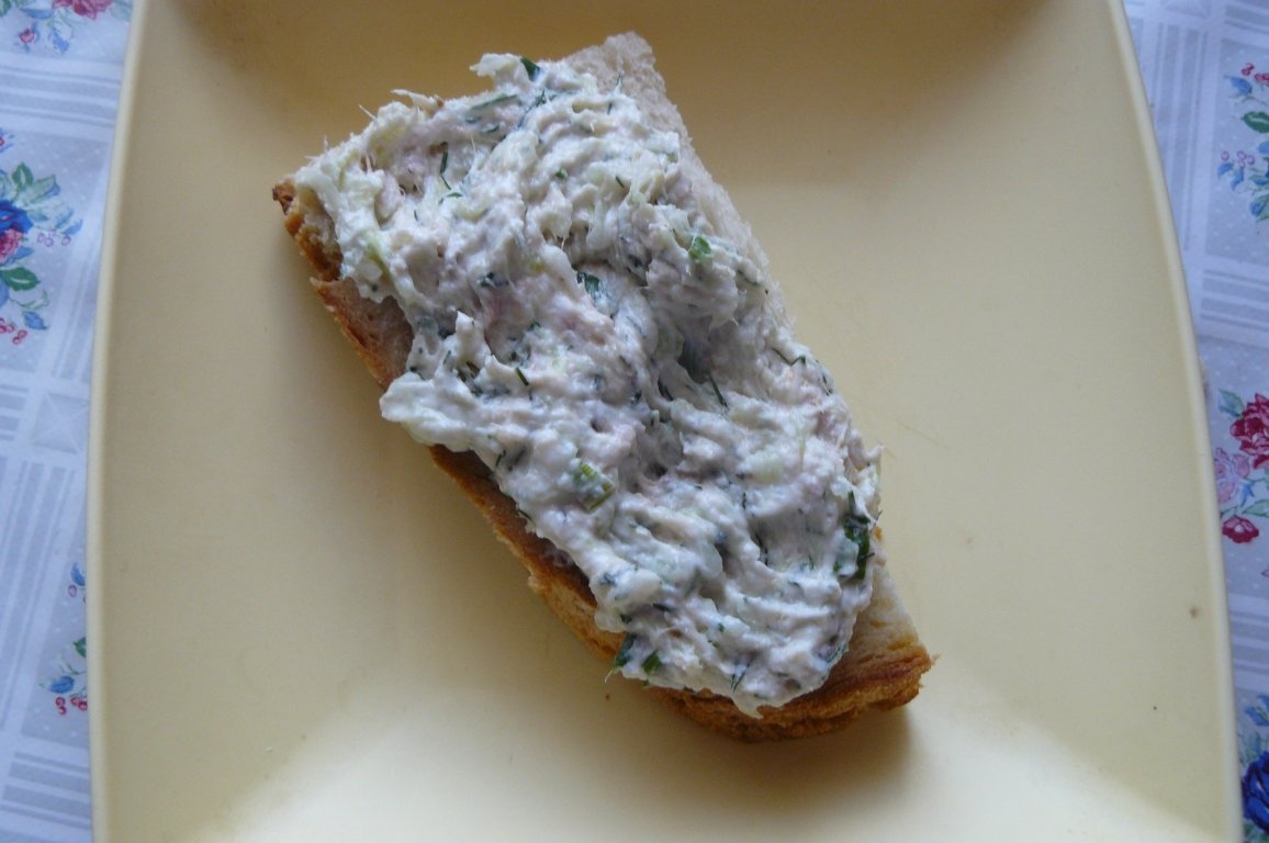 Pastă de ton şi brânză de vaci în stil câmpenesc(şi o variantă sofisticată)