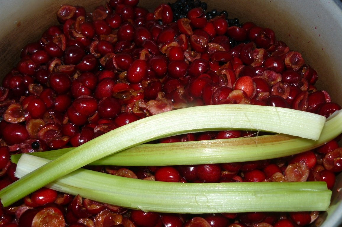 Gem de fructe de sezon cu Gelfix