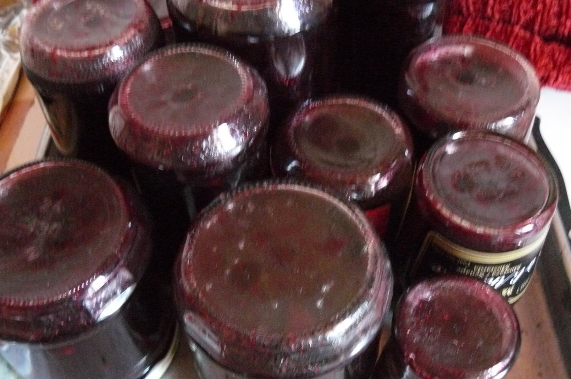 Gem de fructe de sezon cu Gelfix