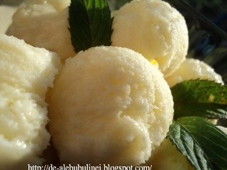 Inghetata cu iaurt si frisca