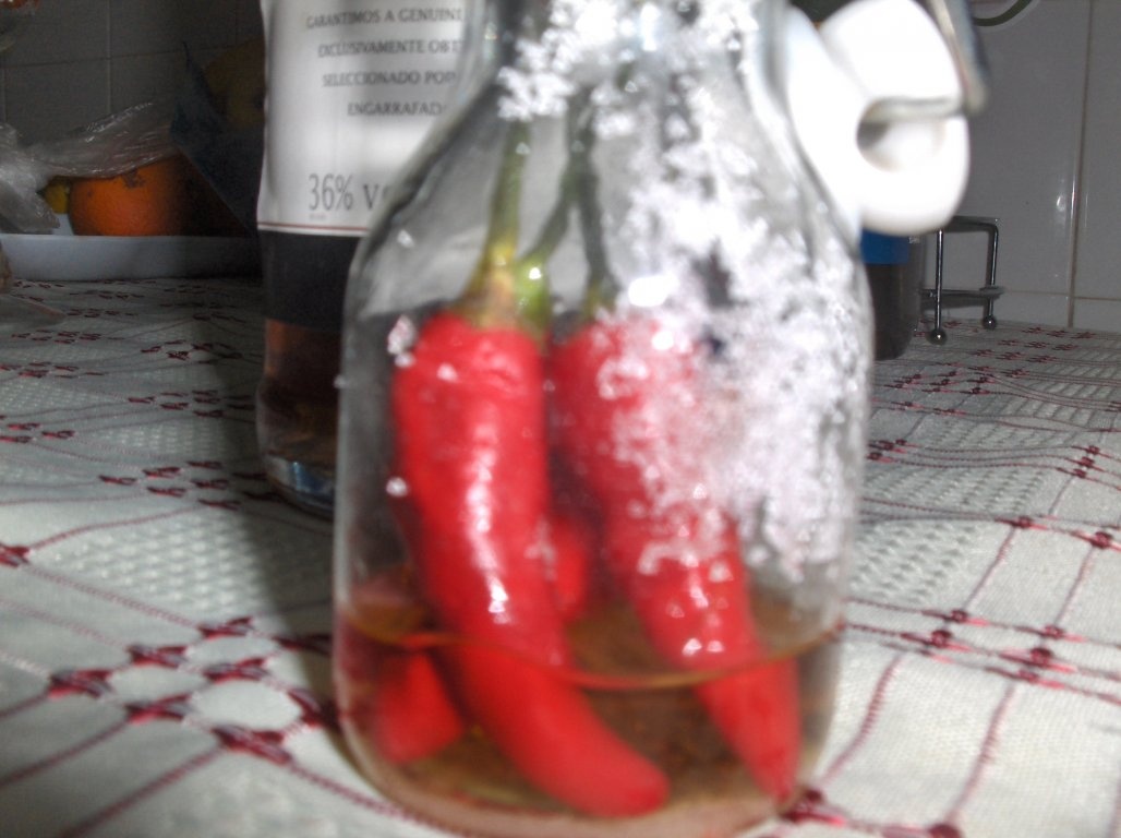 Piri Piri Caseiro  ( Sos chili de casã)