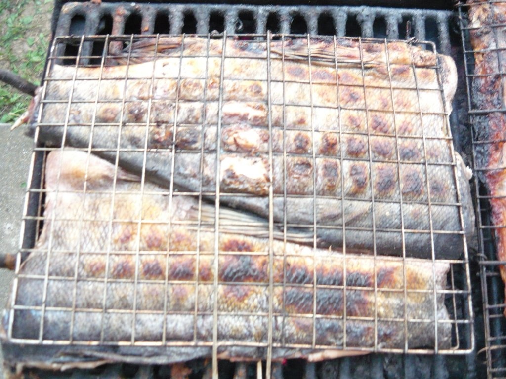 Crap fript cu sarmouzak