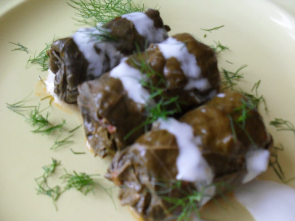 Sarmalute invelite in frunze de loboda rosie