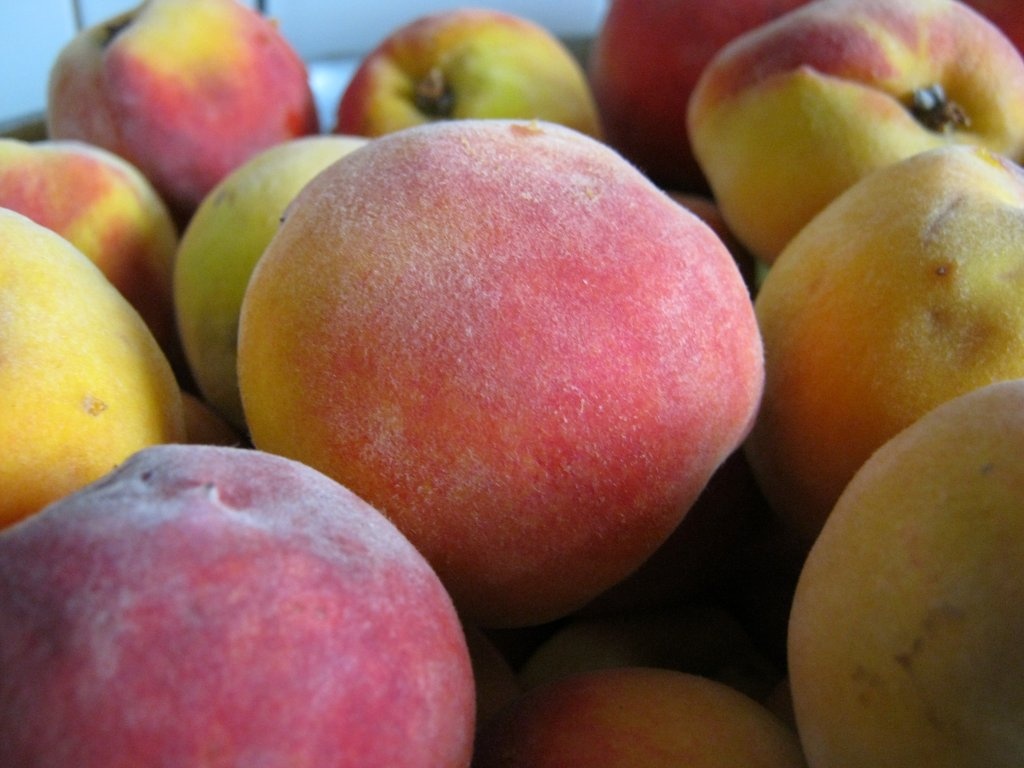 Desert cu iaurt , piersici şi ananas