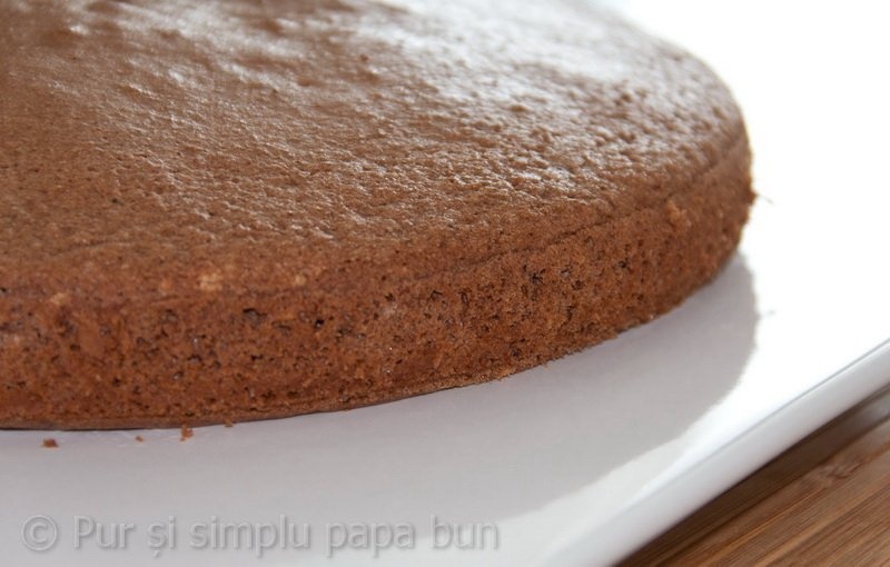 Tort „Pădurea Neagră”