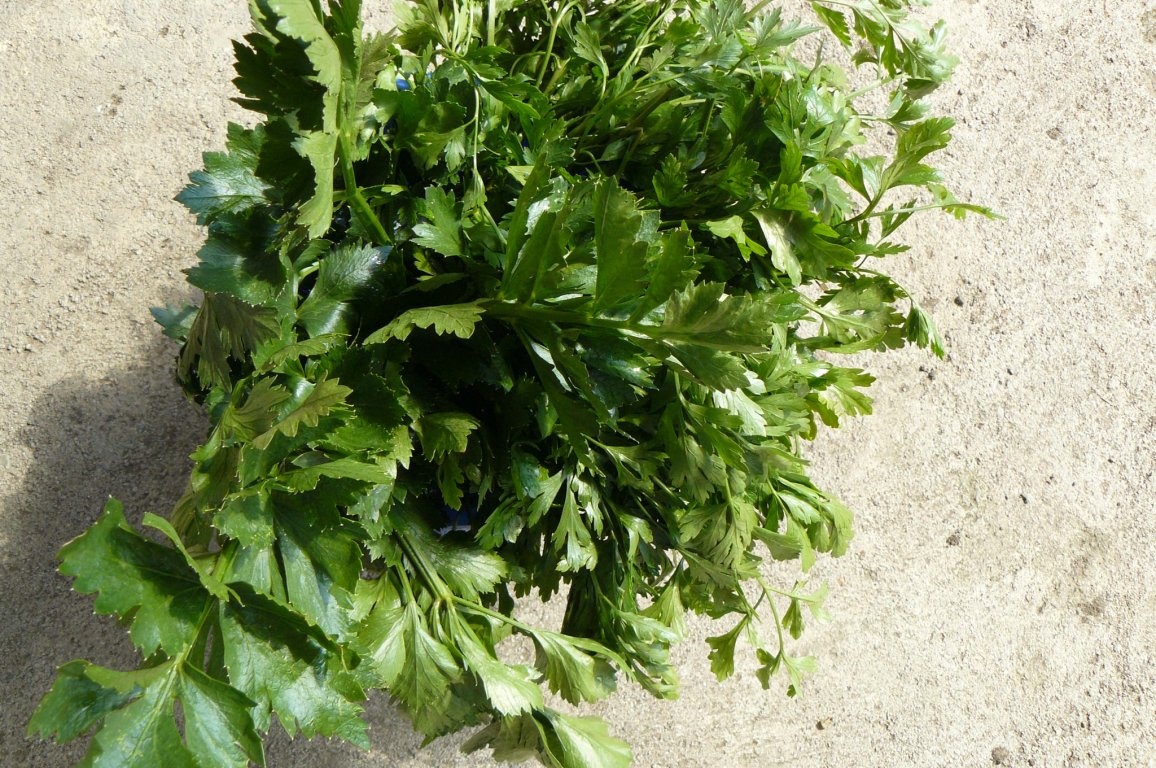 Ciorbă la borcan(conservă)