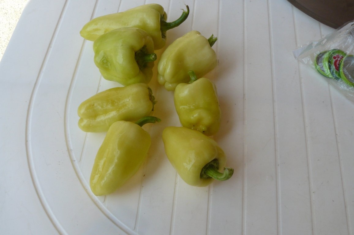 Ciorbă la borcan(conservă)