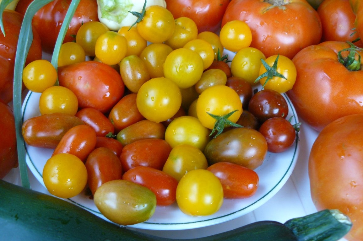 Ciorbă la borcan(conservă)