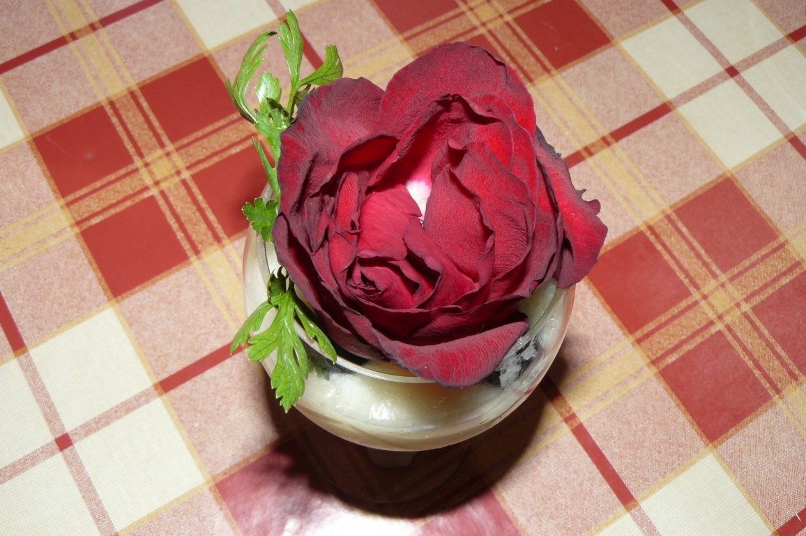 Supă rece de pepene galben