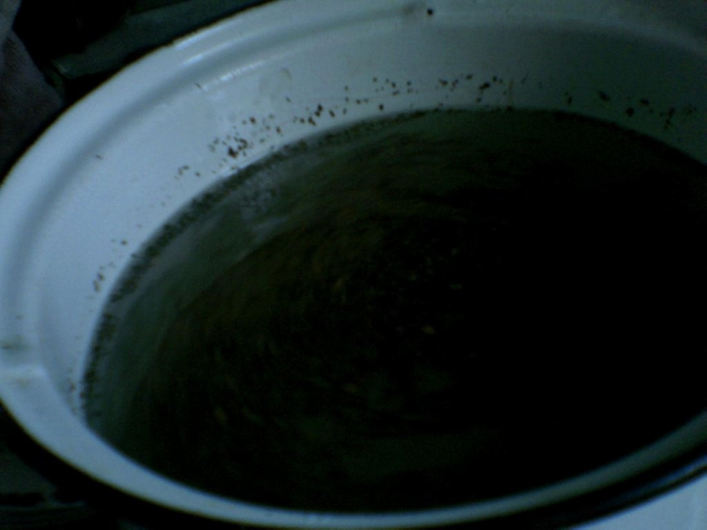 Spaghete cu sos de rosii